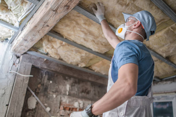 Best Cellulose Insulation in Spring Park, MN